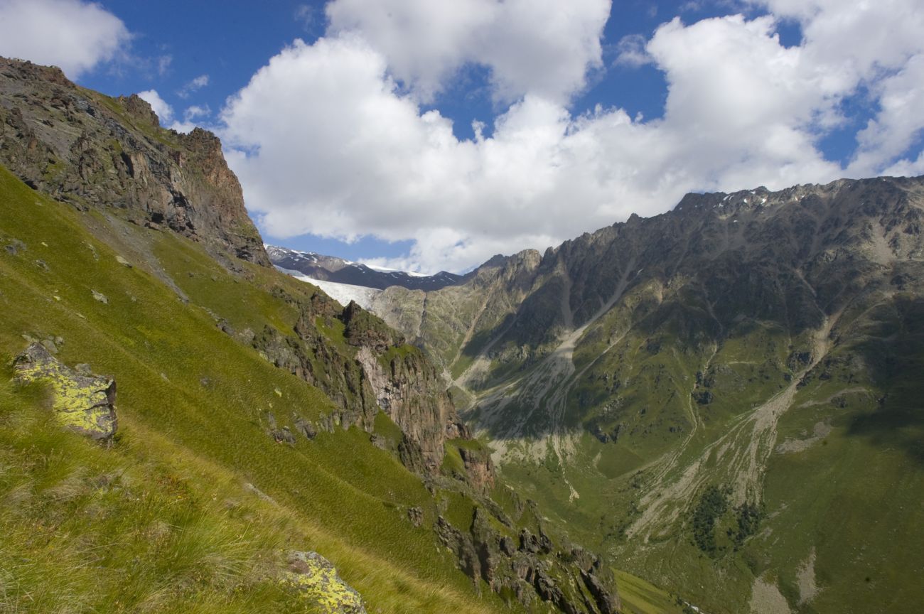 Отрог между р Терскол и Гарабаши, image of landscape/habitat.