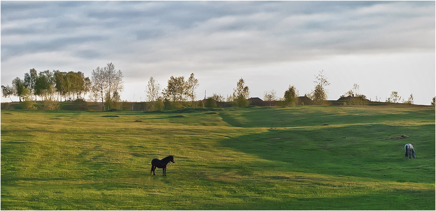 Красноярск и окрестности, image of landscape/habitat.