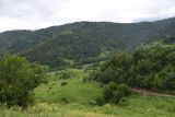 Окрестности урочища Нижний Лейми, image of landscape/habitat.