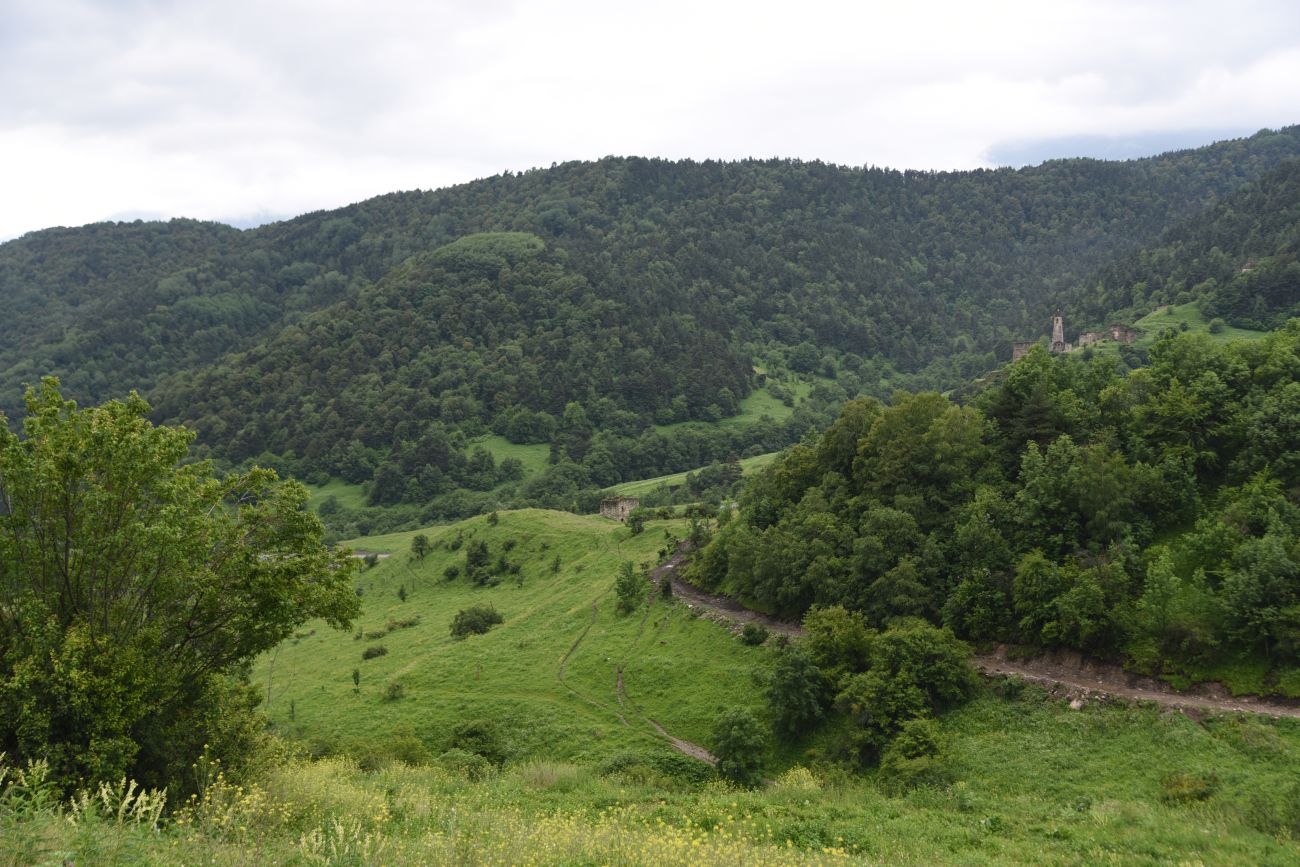 Окрестности урочища Нижний Лейми, image of landscape/habitat.