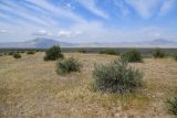 Image of landscape