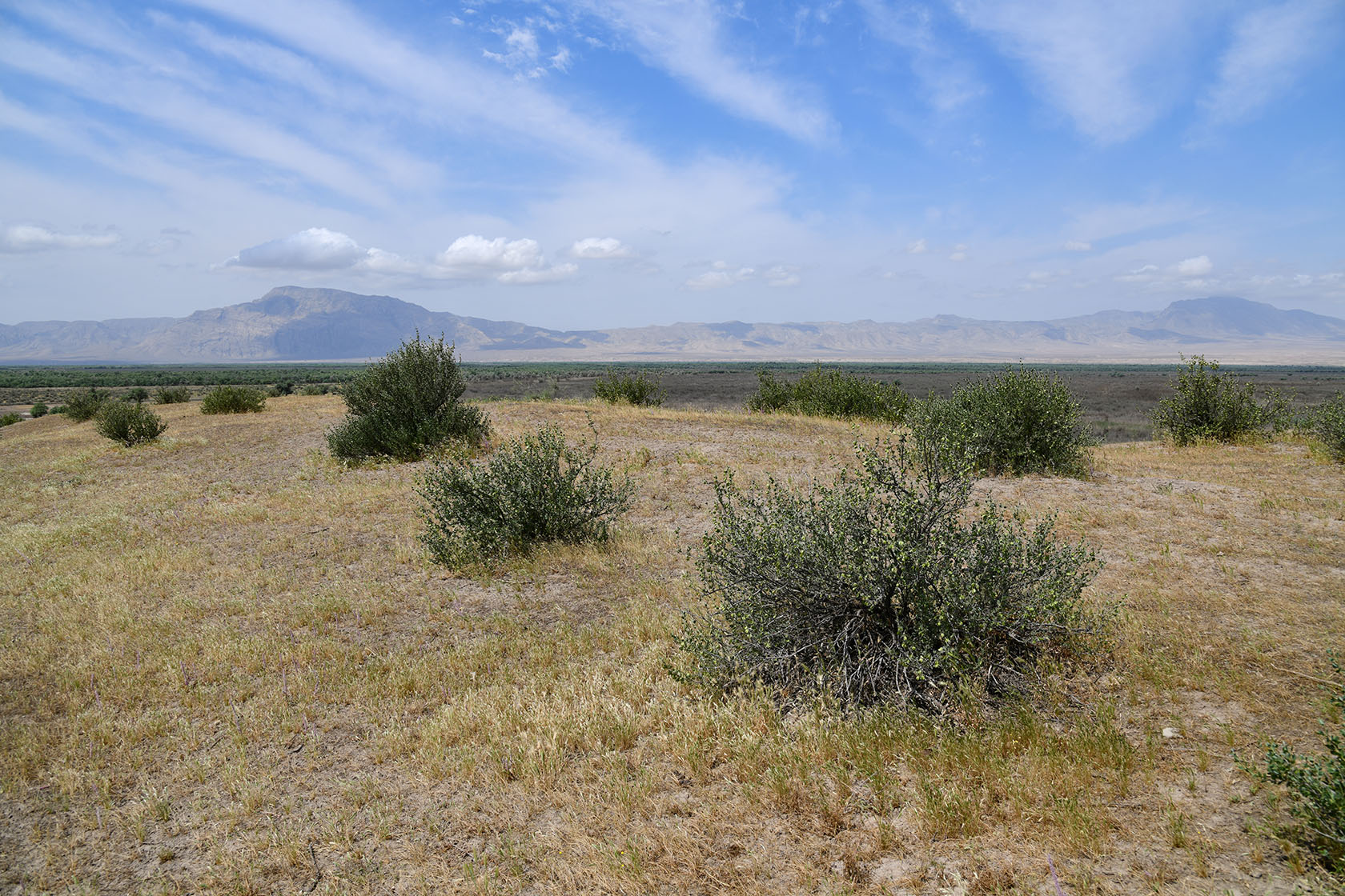Пески Кашкакум, image of landscape/habitat.