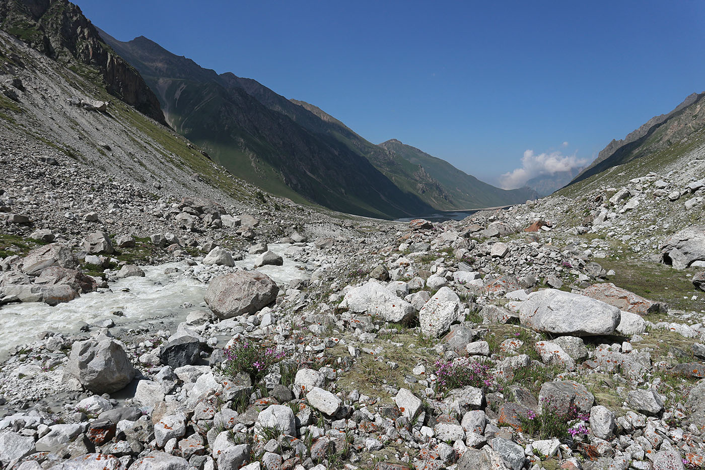 Ледник Нахашбита (Псыгансу), изображение ландшафта.