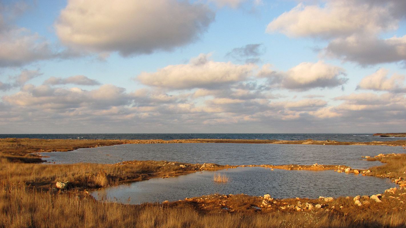 Гераклейский полуостров (запад), изображение ландшафта.