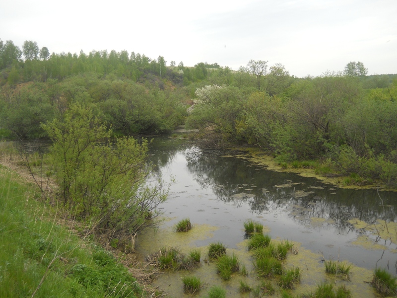 Долина реки Шипунихи, image of landscape/habitat.