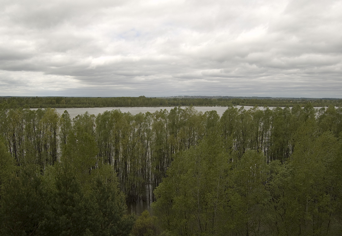 Правый обрывистый берег реки Обь, image of landscape/habitat.