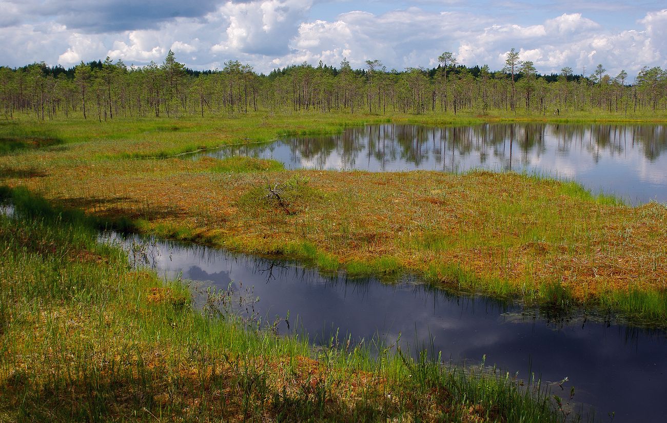 Пено, image of landscape/habitat.