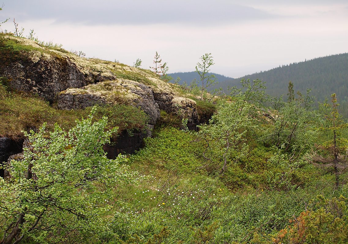 Западный склон Хибинпахнчорра, изображение ландшафта.