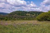 Окрестности деревни Ташлы, image of landscape/habitat.