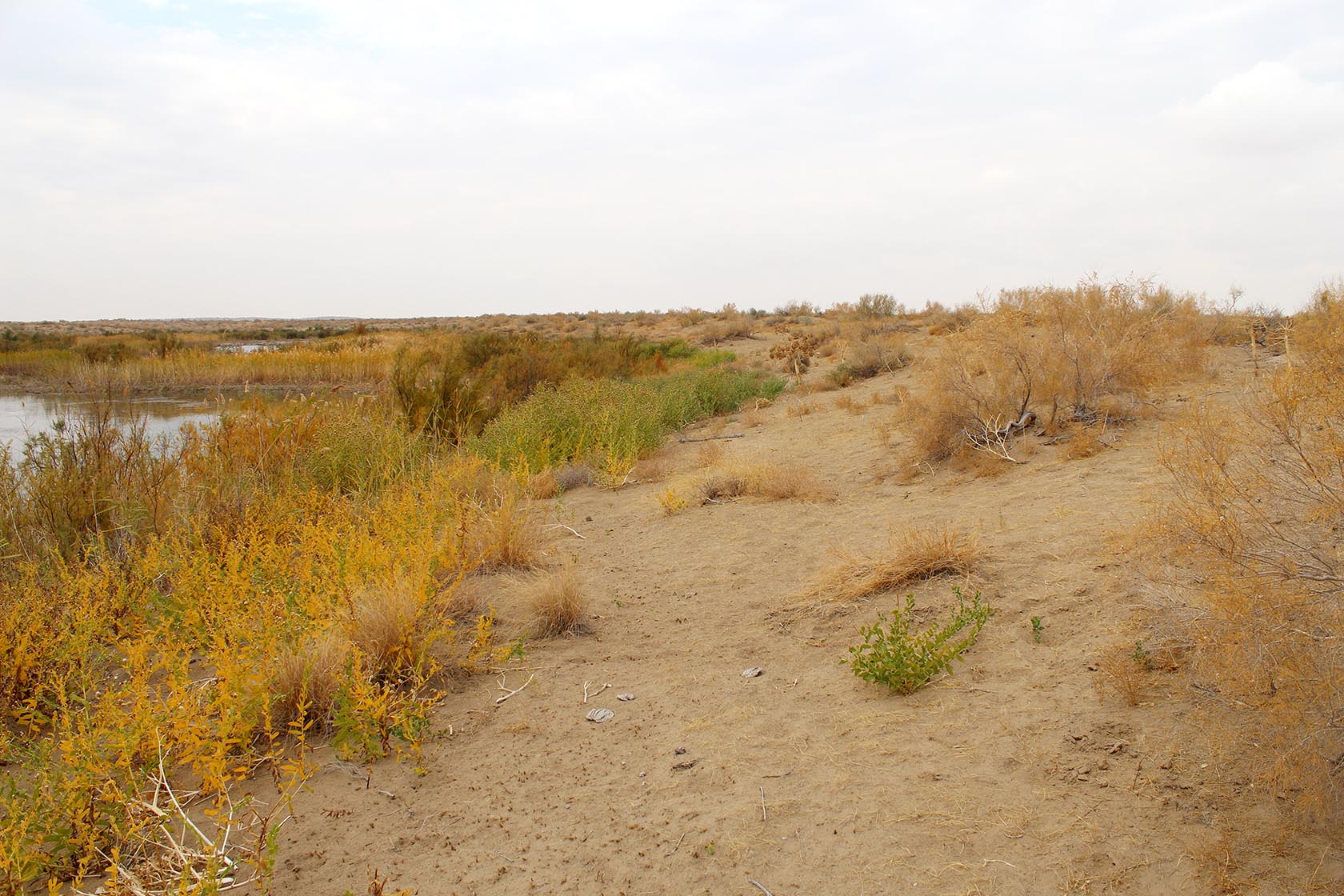 Ак-Яйла, image of landscape/habitat.