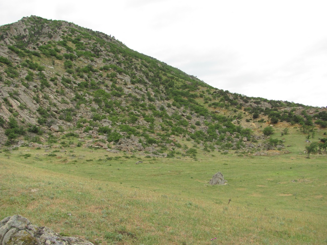 Хребет Нарат-Тюбе, image of landscape/habitat.