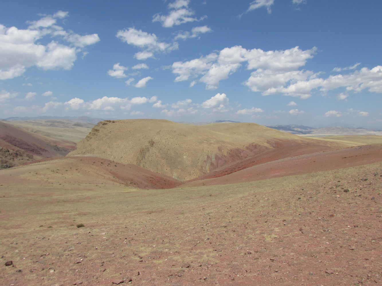 Изгиб реки Кызылшин, image of landscape/habitat.