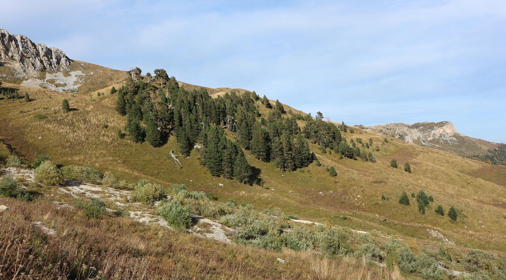 Узуруб, image of landscape/habitat.