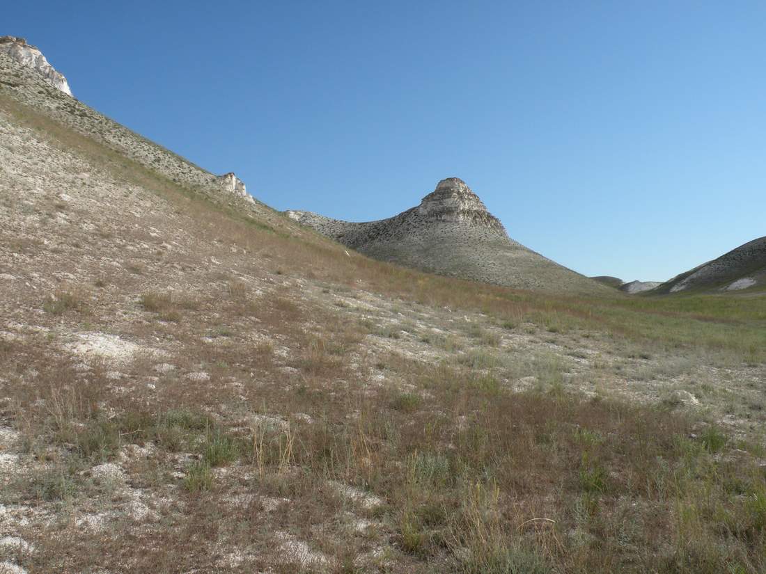 Ишкаргантау, image of landscape/habitat.
