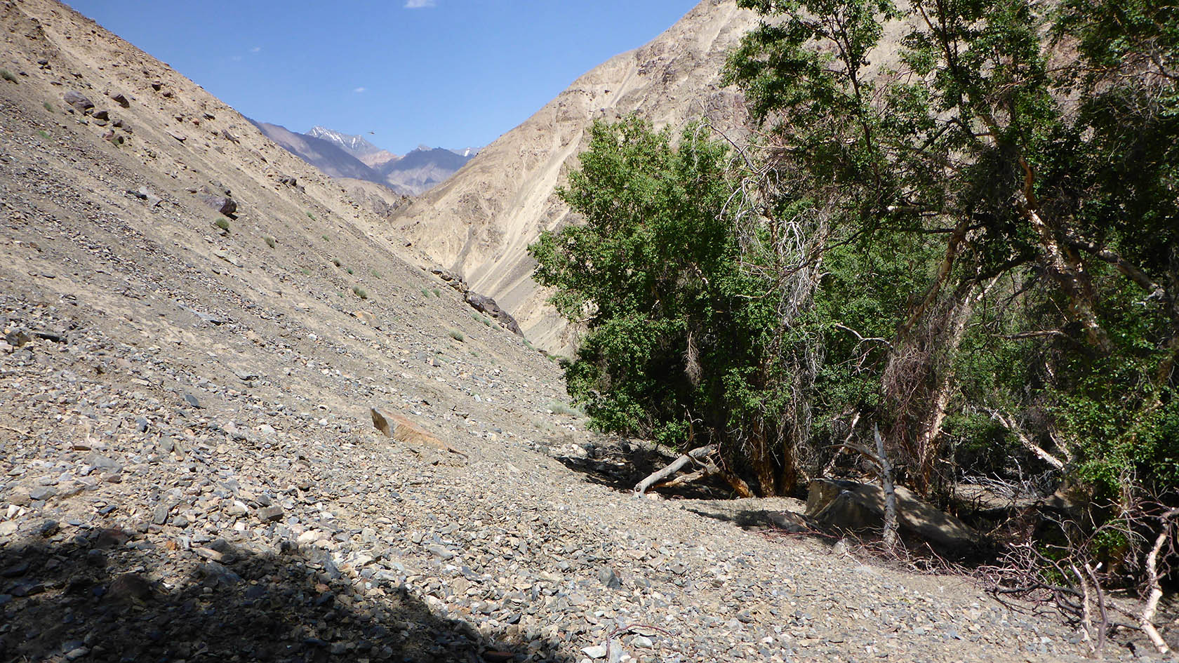 Берёзовая, image of landscape/habitat.