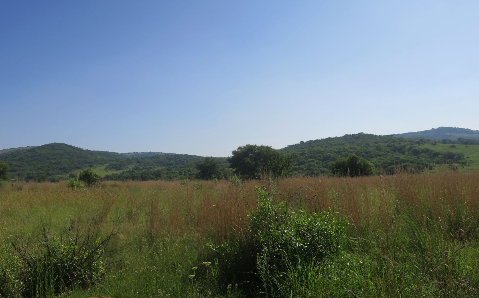 Клиприверсберг, image of landscape/habitat.
