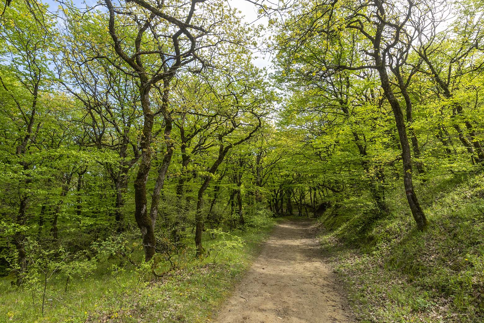 Дербент, image of landscape/habitat.