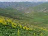 Image of landscape