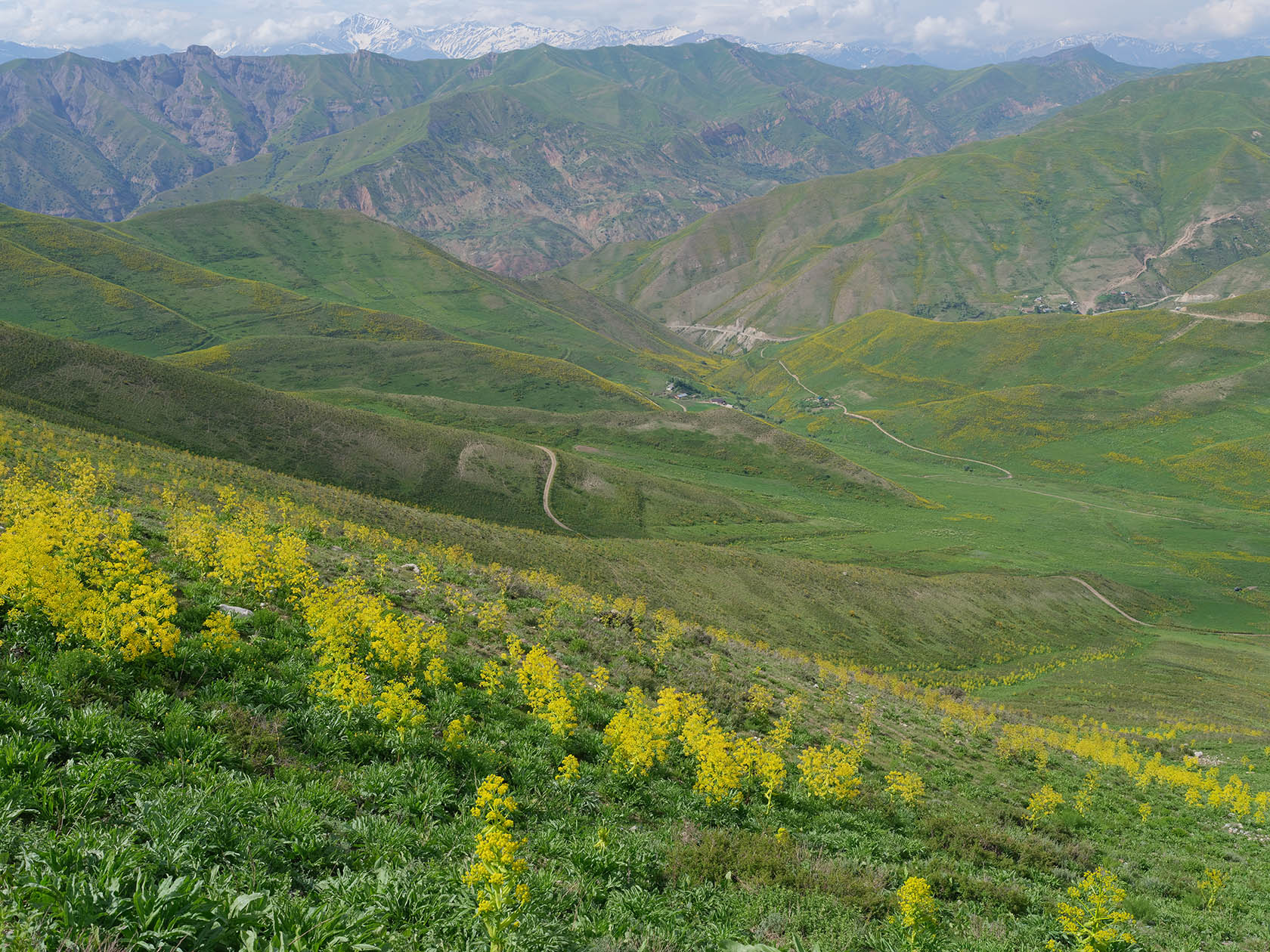 Перевал Хабуработ, image of landscape/habitat.