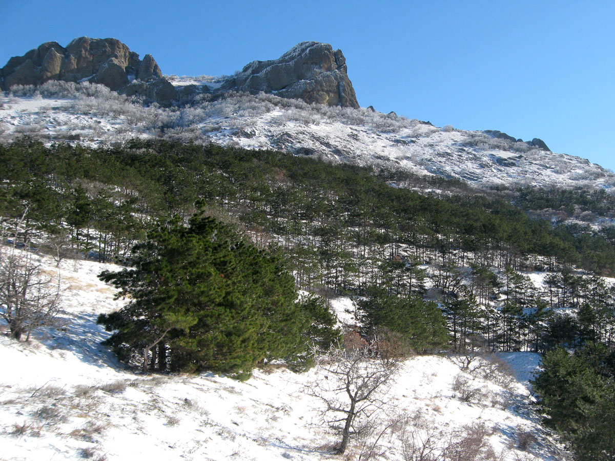 Карадаг, image of landscape/habitat.