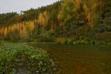 Image of landscape