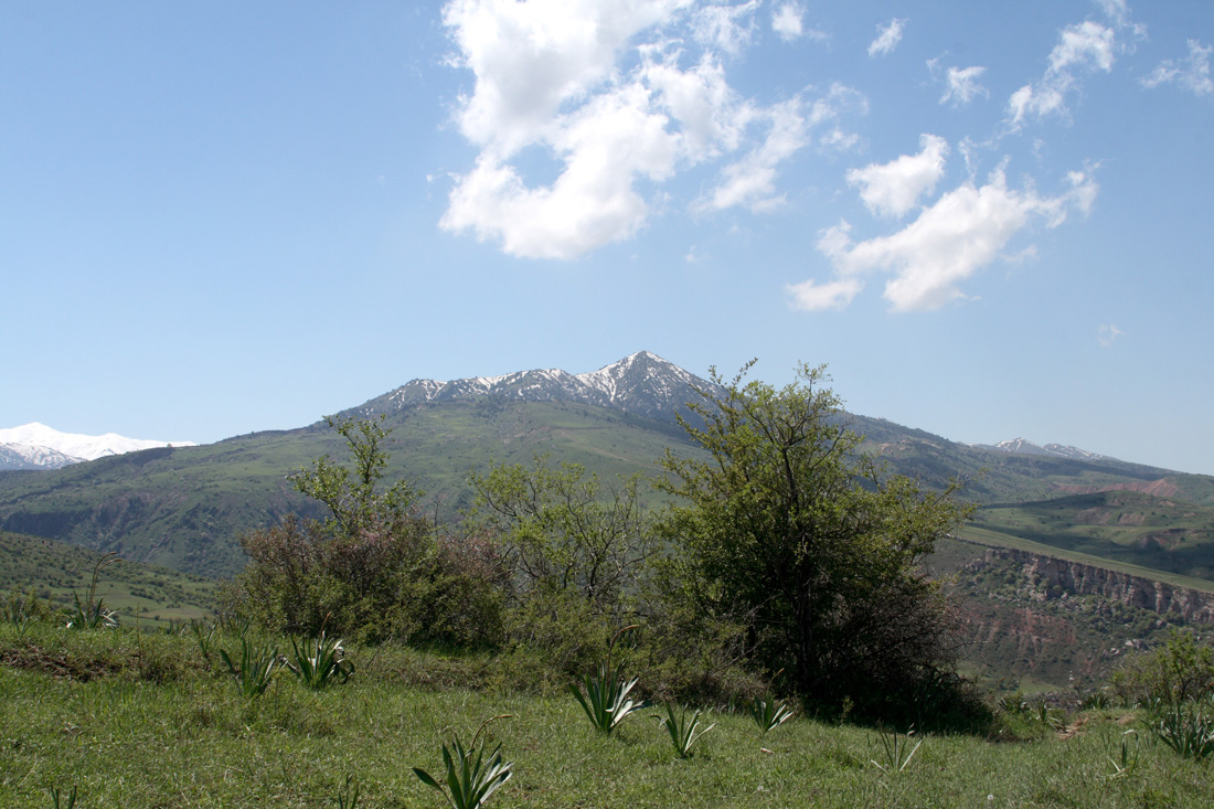 Окрестности селения Гиджал, image of landscape/habitat.