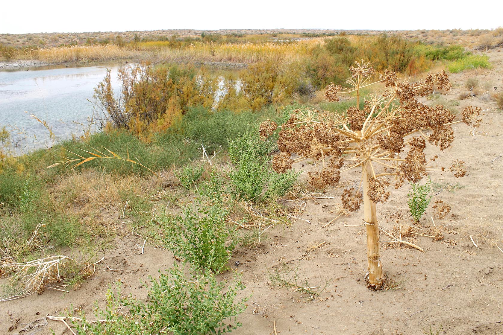 Ак-Яйла, image of landscape/habitat.