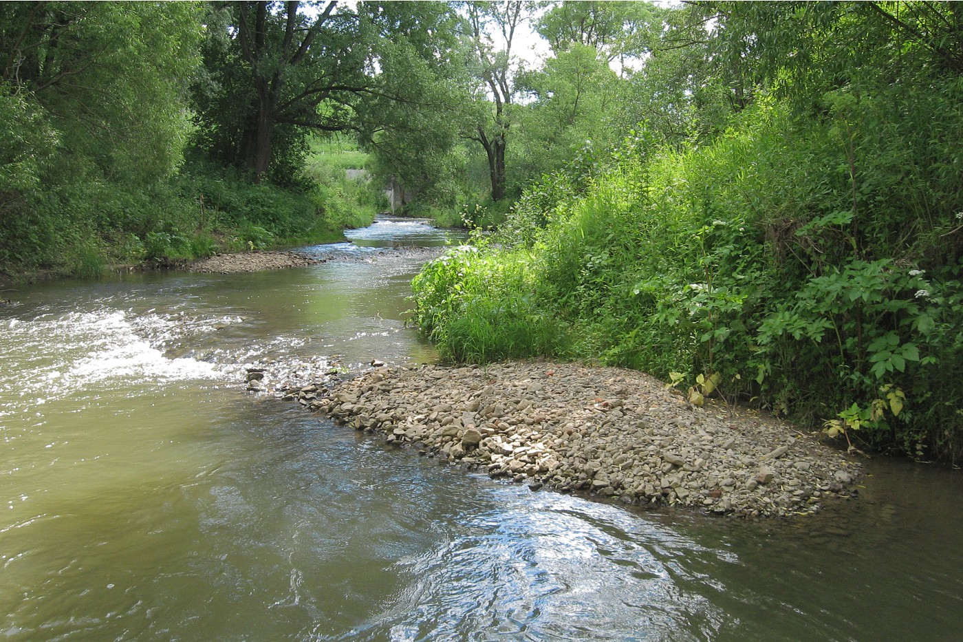 Долина р. Скнига у д. Волково, image of landscape/habitat.