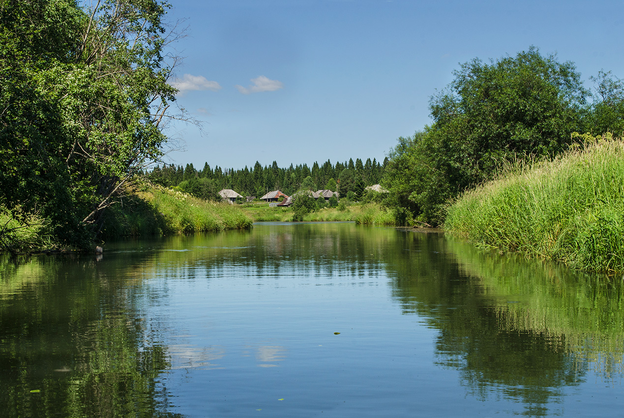 Окрестности деревни Боковая, image of landscape/habitat.
