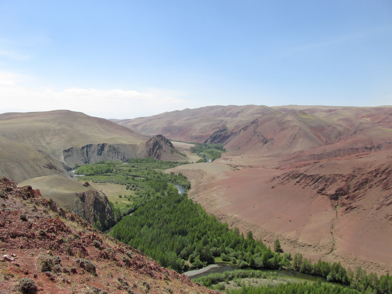 Изгиб реки Кызылшин, image of landscape/habitat.