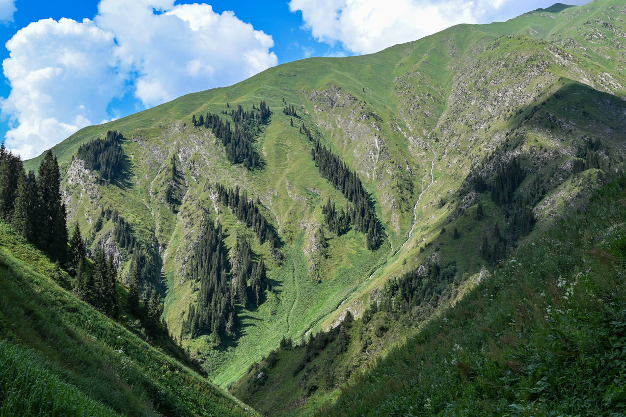 Перевал Макмал, image of landscape/habitat.