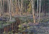 Окрестности Хрипани, изображение ландшафта.