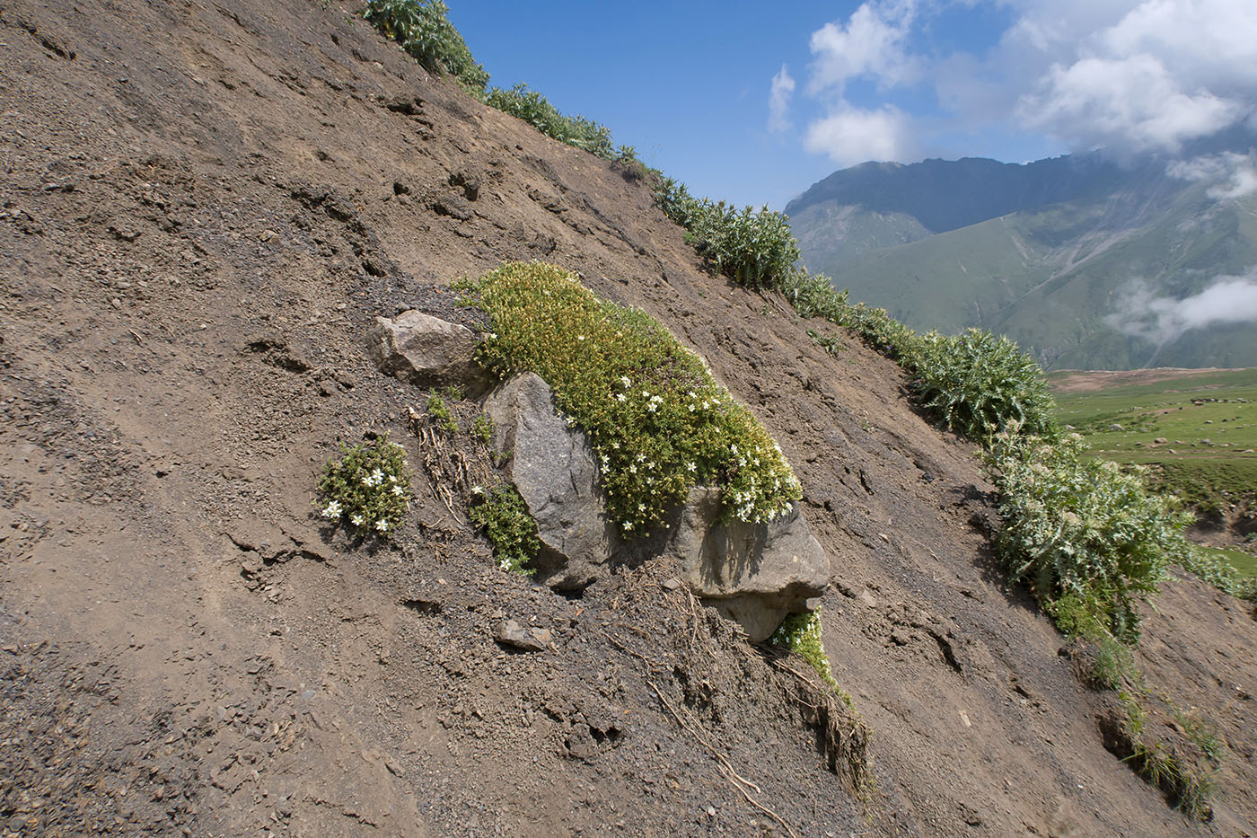 Урочище Хогес, image of landscape/habitat.