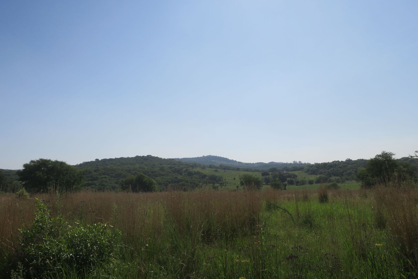 Клиприверсберг, image of landscape/habitat.