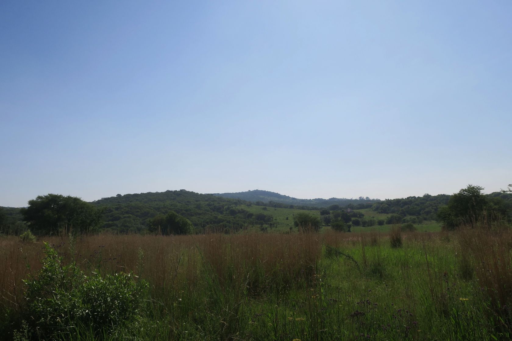 Клиприверсберг, image of landscape/habitat.