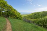 Image of landscape