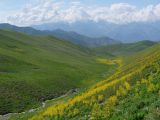 Image of landscape