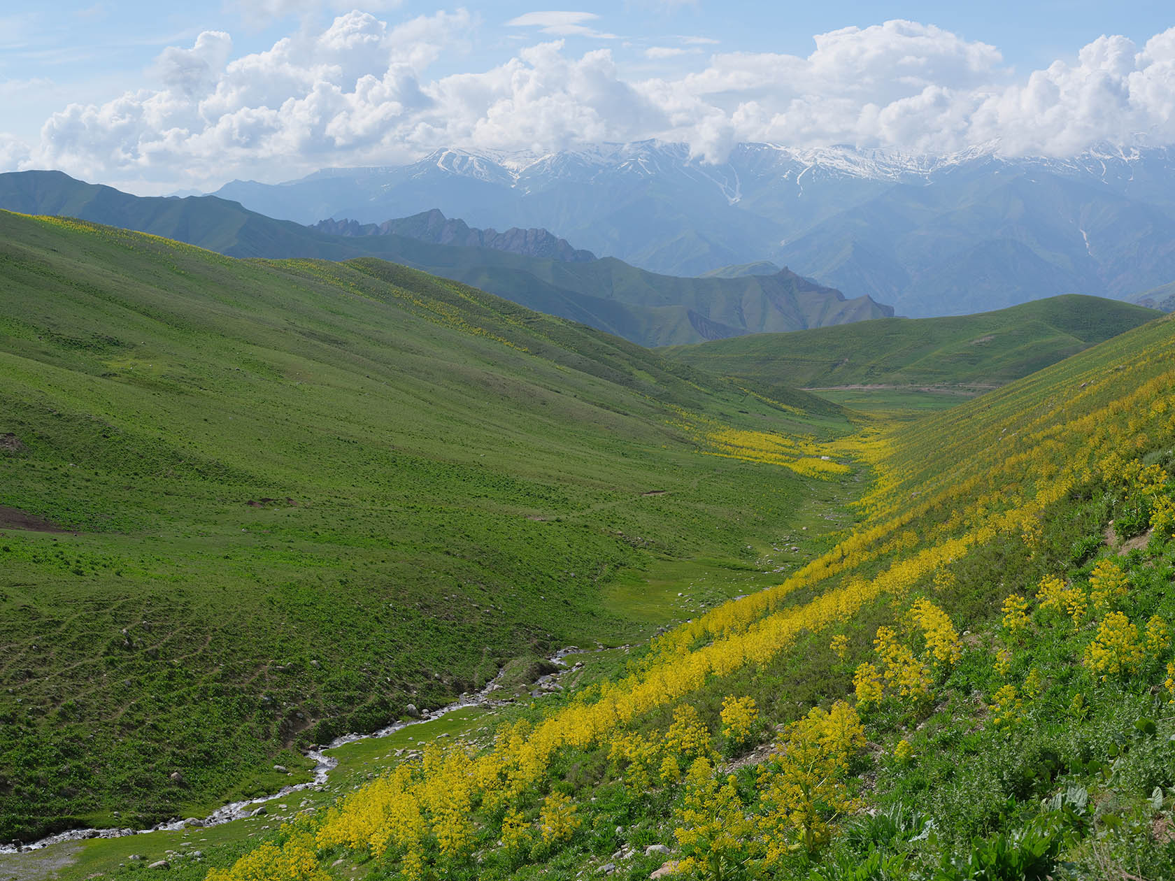 Перевал Хабуработ, image of landscape/habitat.