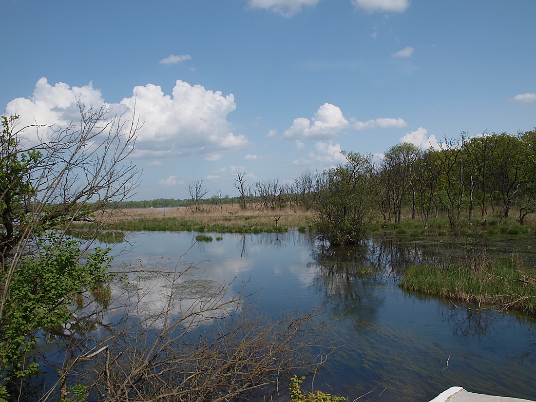 Север Осетинской равнины, image of landscape/habitat.