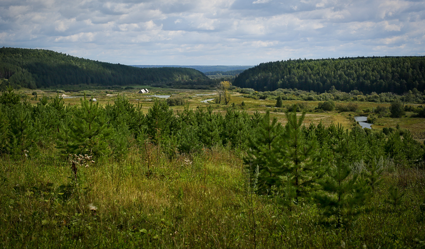 Окрестности села Ключи, изображение ландшафта.