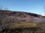 Image of landscape
