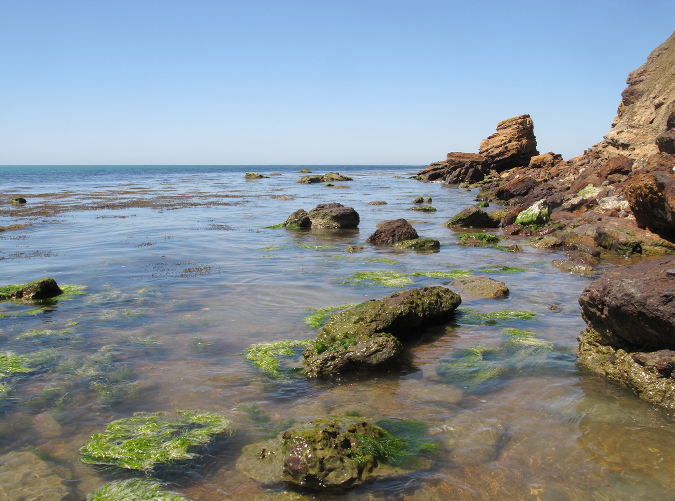 Железный Рог, image of landscape/habitat.