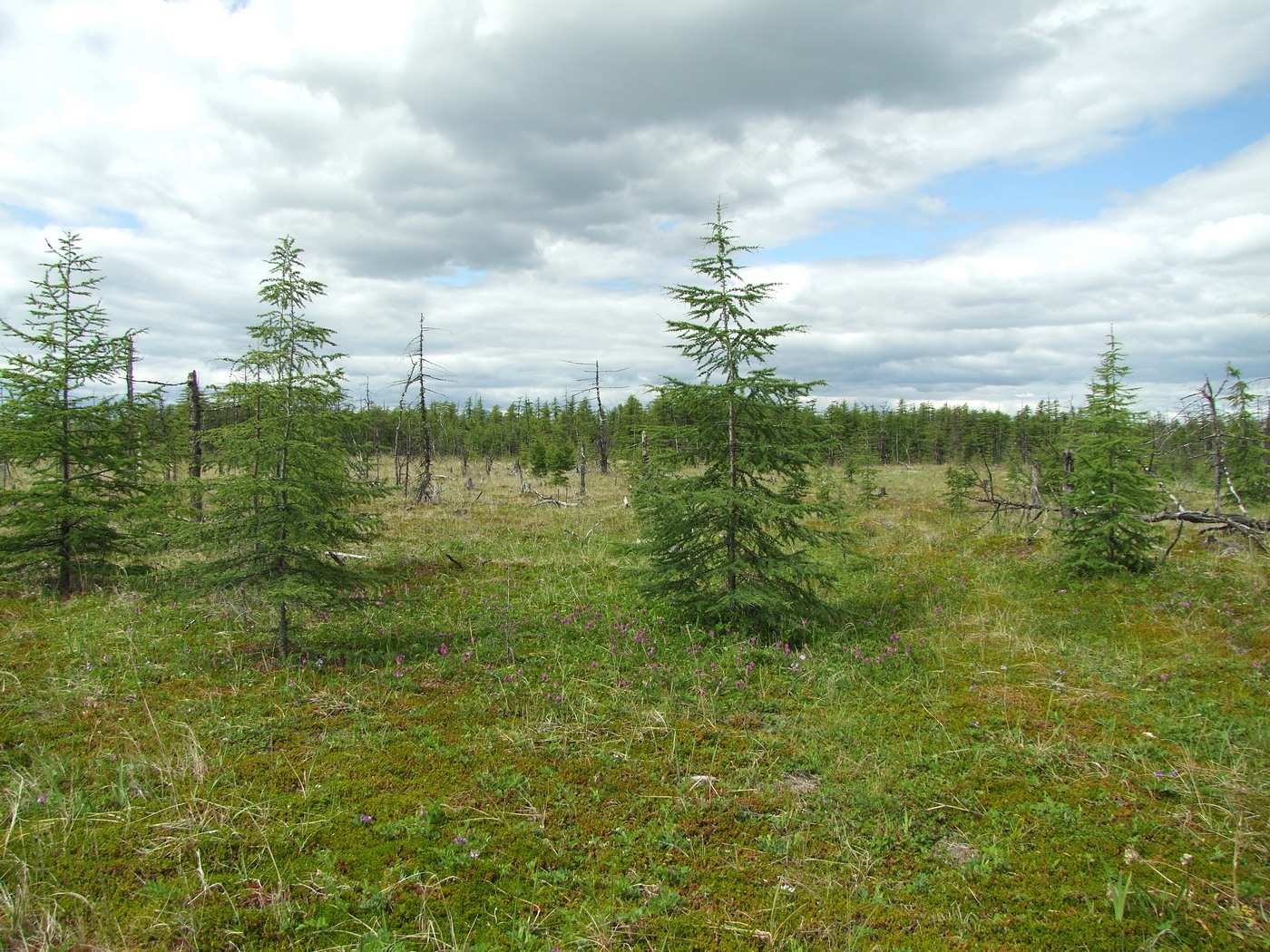 Арманское побережье, image of landscape/habitat.