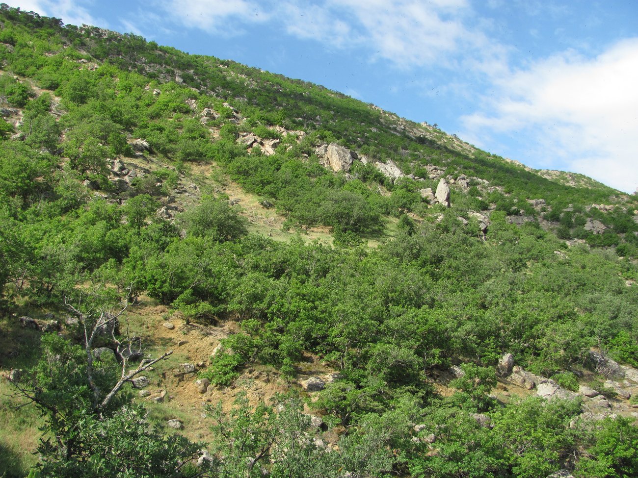 Хребет Нарат-Тюбе, image of landscape/habitat.