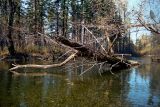 Баджальский хребет, изображение ландшафта.