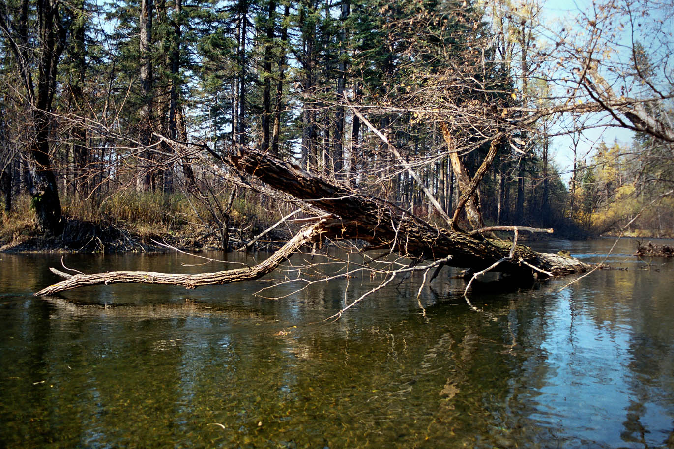 Баджальский хребет, image of landscape/habitat.