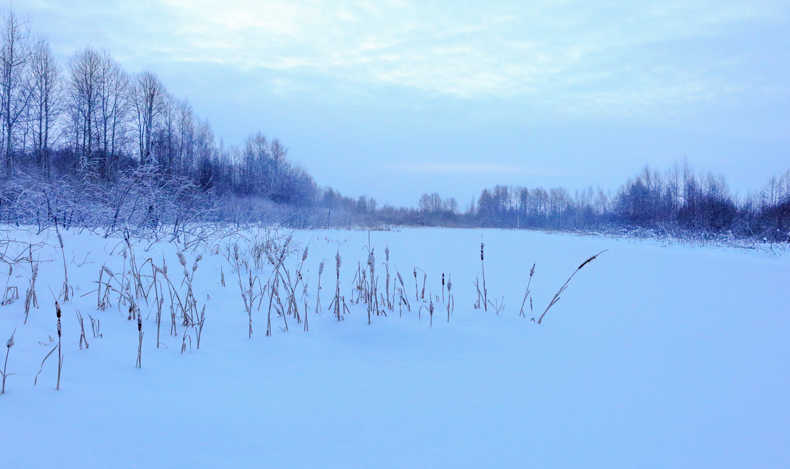 Закамск, image of landscape/habitat.