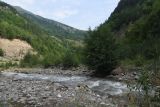 Окрестности устья реки Кенхи, image of landscape/habitat.
