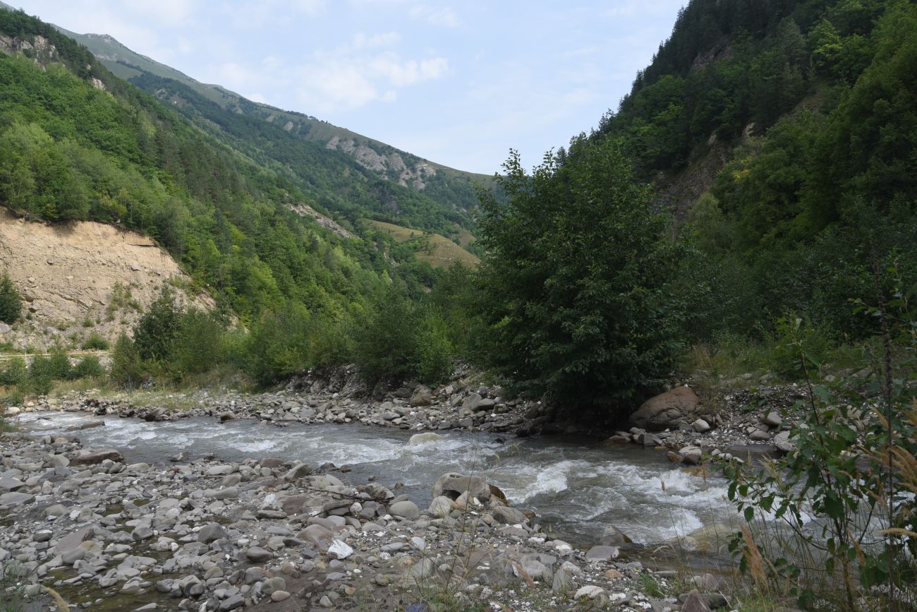 Окрестности устья реки Кенхи, image of landscape/habitat.
