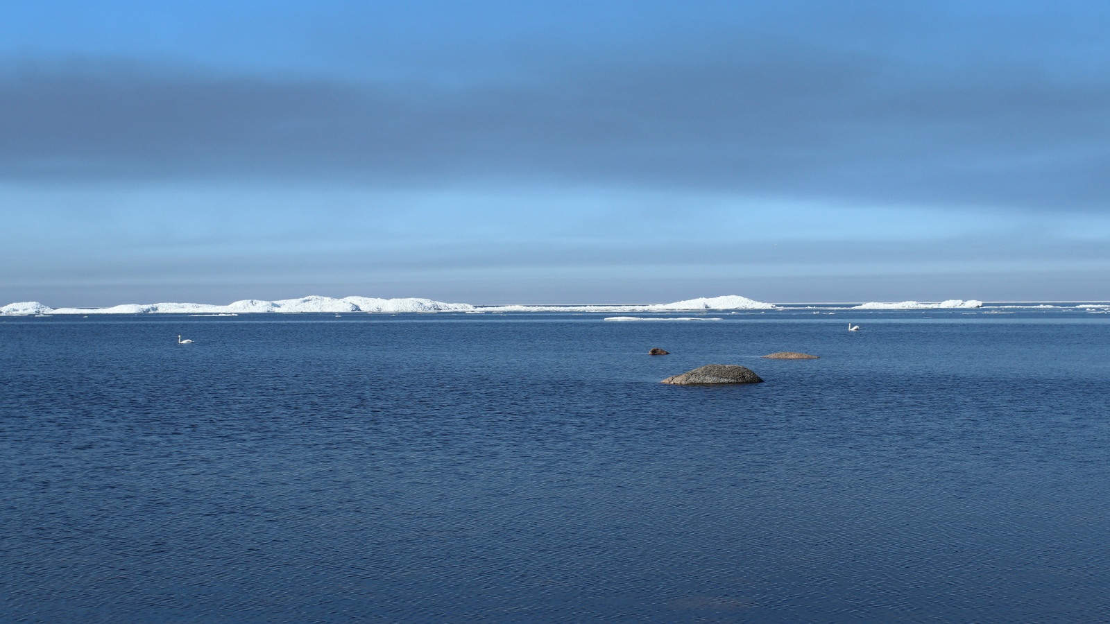 Каравалдай, image of landscape/habitat.